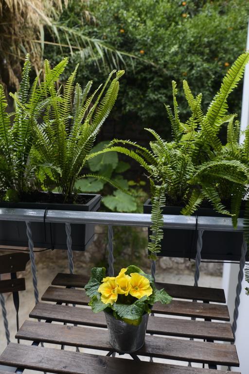 Your "Home Away From Home" In Acropolis Афіни Екстер'єр фото
